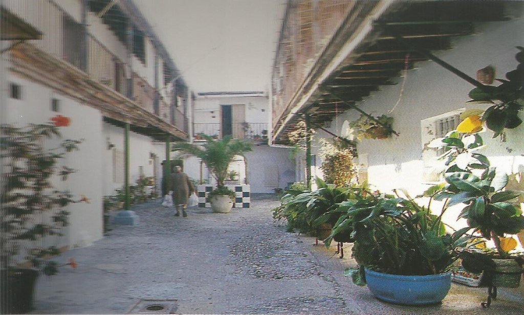 Gitanos y/o moriscos